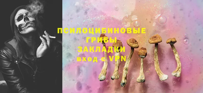 Псилоцибиновые грибы MAGIC MUSHROOMS  купить наркотик  Чишмы 